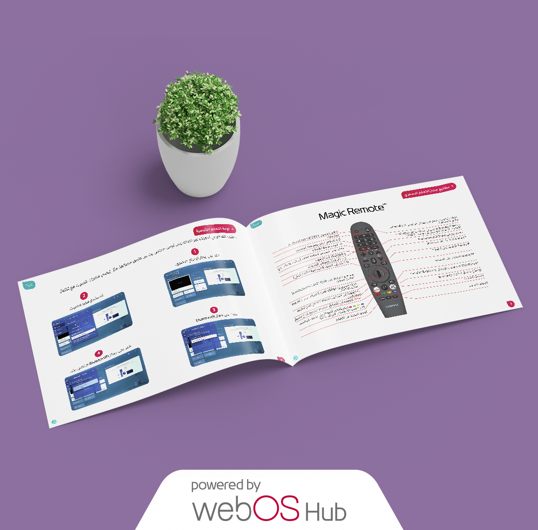 دليل الاستخدام WebOS Hub